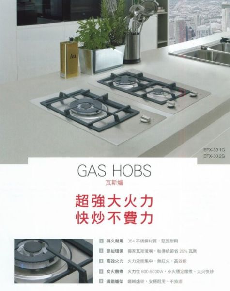 【日成】德國 TEKA  檯面式瓦斯爐 EFX-30 2G  不銹鋼雙口 