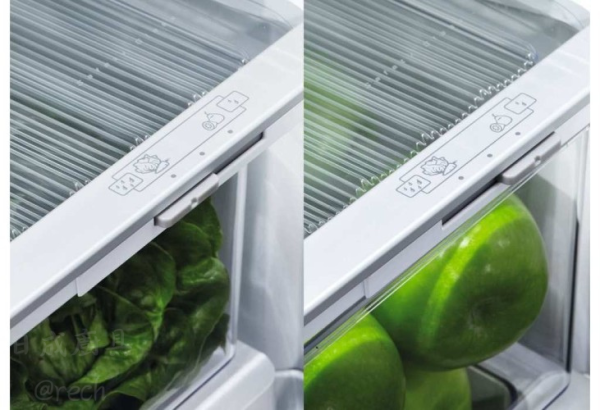 【日成】Fisher&Paykel菲雪品克 RF170BRPX7 不鏽鋼無把手雙門冰箱 桃園廚具,日成,日成廚具生活館,日成廚具,廚具店,菲雪品克,冰箱,雙門,甜甜價,優惠