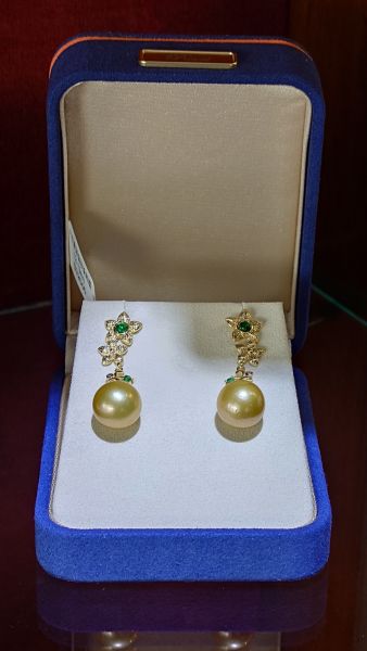 天然南洋金珍珠耳環 (12-13mm) 