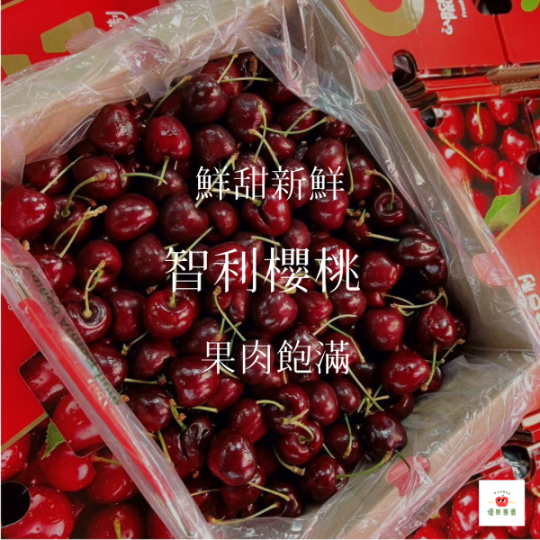 智利櫻桃 