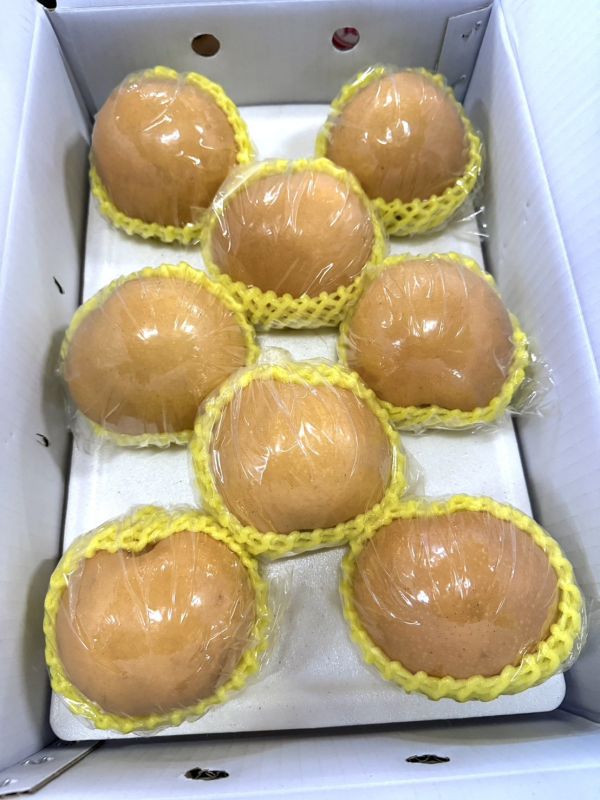 雪梨｜清甜爽脆・現在必吃 雪梨, 水梨, 清甜水果, 爽脆水梨, 秋冬水果, 潤喉水果, 多汁水果, 養生水果, 季節限定水果, 台灣水果宅配