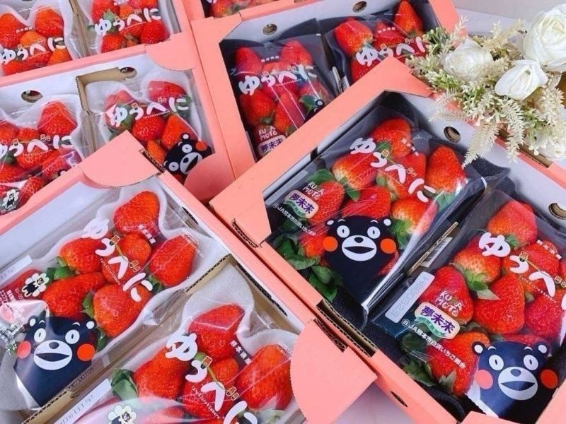 日本經典熊本草莓 