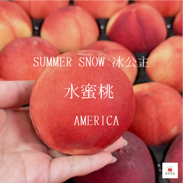 美國空運水蜜桃｜Summer Snow 冰公主 Summer Snow水蜜桃, 美國水蜜桃, 空運熟成水果, 白肉水蜜桃, 夏季夢幻水果, 高甜度水蜜桃, 空運桃子, 果肉細緻桃, 水蜜桃推薦, 進口水果宅配