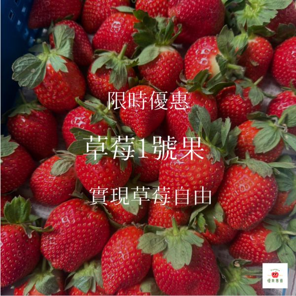 限時 大湖草莓1號果1KG 