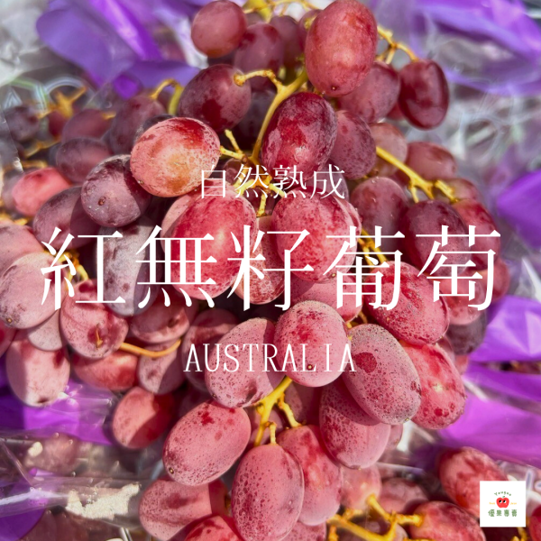 智利紅無籽葡萄（原裝件 8.2公斤） 紅無籽葡萄, 澳洲葡萄, 甜脆葡萄, 進口葡萄推薦, 空運水果, 無籽葡萄原裝, 葡萄原裝件, 大份量葡萄, 水果分裝用, 進口紅葡萄