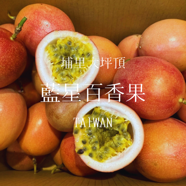 新品種｜藍星百香果（埔里大坪頂） 藍星百香果, 埔里百香果, 大坪頂百香果, 百香果新品種, 高山百香果, 果香濃百香果, 酸甜百香果推薦, 百香果宅配, 夏季熱帶水果, 台灣百香果