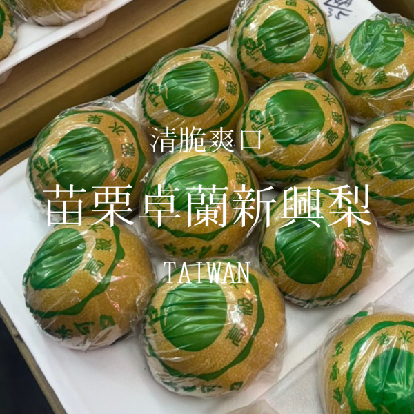 苗栗卓蘭｜新興梨 新興梨, 卓蘭水梨, 苗栗水果, 台灣梨子, 產銷履歷水果, 爆汁水梨, 清脆水梨, 夏季水果推薦, 水梨宅配, 安心水果