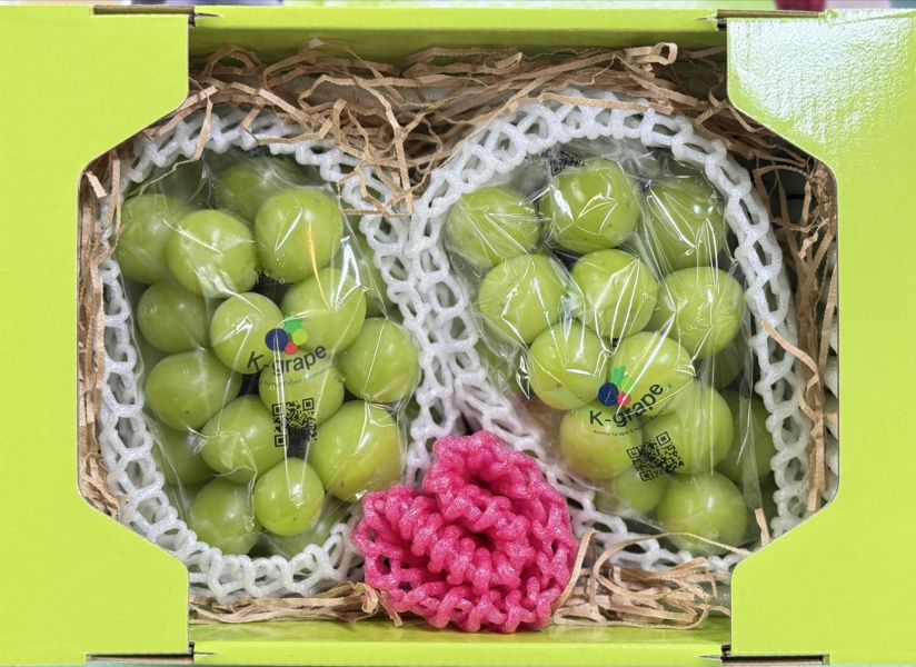 麝香葡萄｜果香馥郁・脆甜多汁 麝香葡萄, 無籽葡萄, 脆甜葡萄, 爆汁葡萄, 高甜度水果, 進口葡萄推薦, 人氣葡萄, 水果宅配, 夏季葡萄, 果香濃郁葡萄