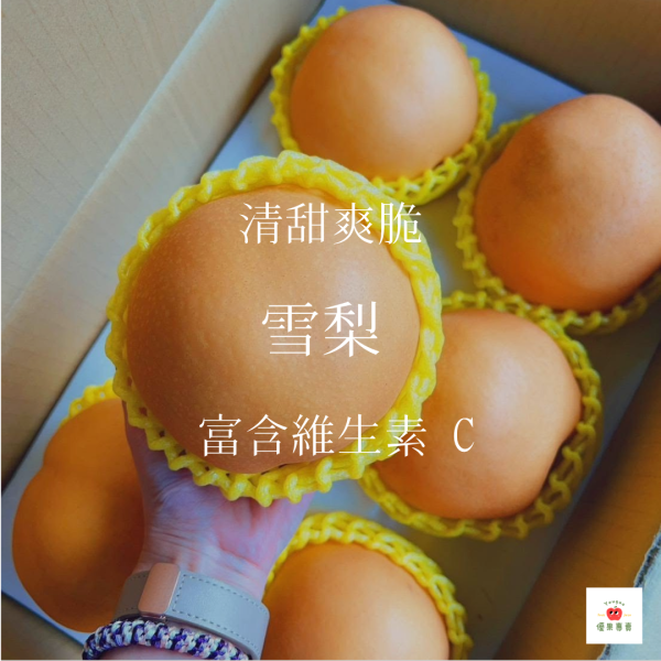 雪梨｜清甜爽脆・現在必吃 雪梨, 水梨, 清甜水果, 爽脆水梨, 秋冬水果, 潤喉水果, 多汁水果, 養生水果, 季節限定水果, 台灣水果宅配