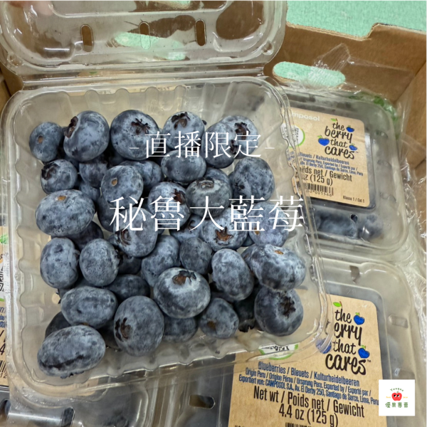 【0812直播限定】秘魯大藍莓 6盒1組 