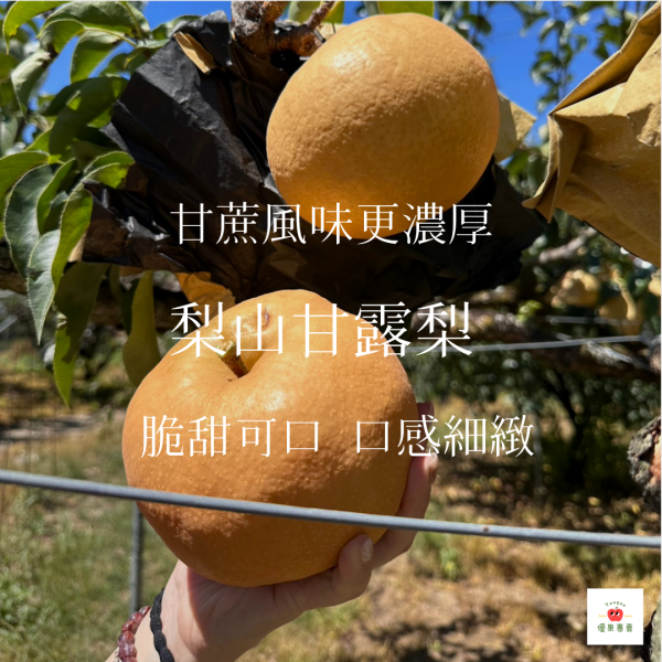 【兩盒免運】高海拔梨山甘露梨20A 梨山甘露梨, 甘露梨, 台灣高山梨, 高山水果, 爆汁水梨, 清甜水梨, 契作水果, 台灣水果宅配, 秋季水果推薦, 梨山水果