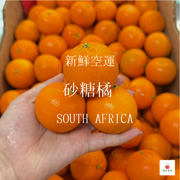 南非砂糖橘1kg 南非砂糖橘, 砂糖橘, 進口橘子, 香甜柑橘, 好剝橘子, 多汁橘子, 爆汁水果, 砂糖橘推薦, 進口水果宅配, 柑橘季水果