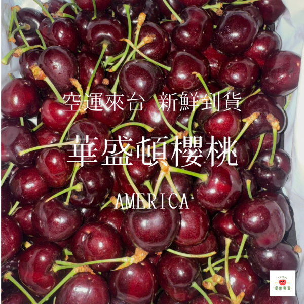 升級版｜美國華盛頓空運櫻桃（8.5R） 美國櫻桃, 華盛頓櫻桃, 8.5R櫻桃, 空運櫻桃, XXL櫻桃, 季節限定水果, 大果櫻桃, 爆甜櫻桃, 櫻桃宅配, 進口水果推薦
