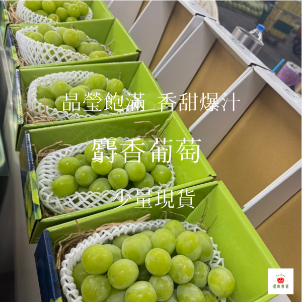 麝香葡萄｜果香馥郁・脆甜多汁 麝香葡萄, 無籽葡萄, 脆甜葡萄, 爆汁葡萄, 高甜度水果, 進口葡萄推薦, 人氣葡萄, 水果宅配, 夏季葡萄, 果香濃郁葡萄