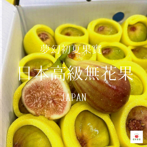 日本高級無花果｜夢幻初夏果實登場 (2kg) 日本無花果, 高級無花果, 空運無花果, 初夏水果, 香甜無花果, 季節限定果物, 果凍口感水果, 日本夢幻水果, 高單價水果推薦, 空運直送水果