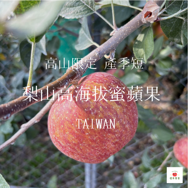 高海拔蜜蘋果 