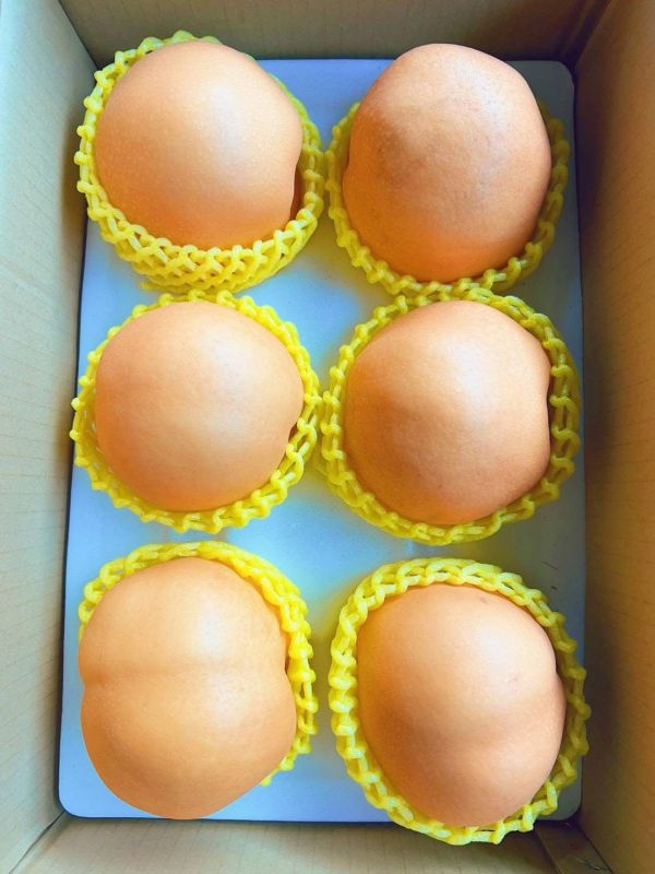 雪梨｜清甜爽脆・現在必吃 雪梨, 水梨, 清甜水果, 爽脆水梨, 秋冬水果, 潤喉水果, 多汁水果, 養生水果, 季節限定水果, 台灣水果宅配