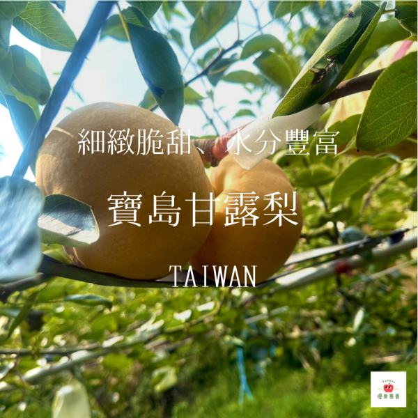 寶島甘露梨｜水果界的精品 寶島甘露梨, 甘露梨推薦, 高山水梨, 精品水果, 台灣梨子, 水果禮盒, 多汁水梨, 爽脆水梨, 高品質水果, 清甜水果宅配