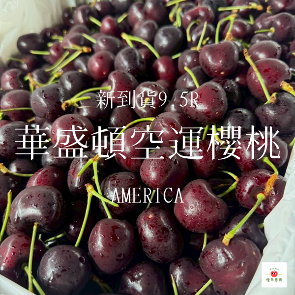 美國華盛頓空運櫻桃（9.5R） 華盛頓櫻桃, 美國櫻桃, 空運櫻桃, 櫻桃9.5R, 大果櫻桃, 櫻桃新鮮到貨, 櫻桃推薦, 進口櫻桃, 冷藏櫻桃, 高品質櫻桃