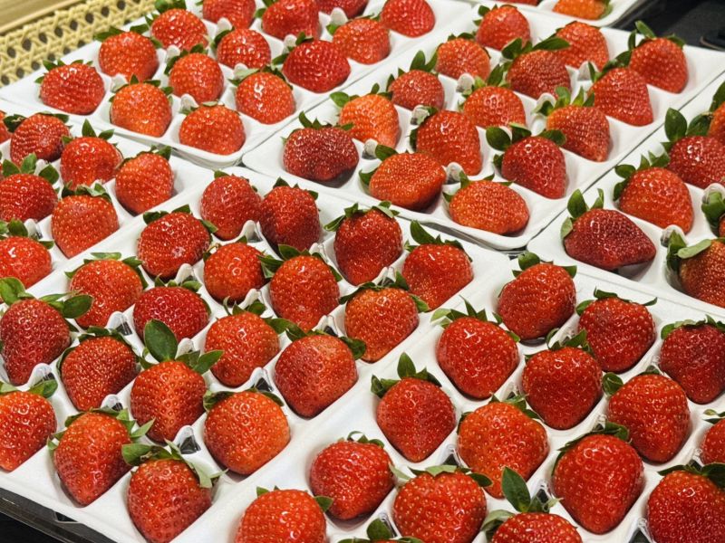 苗栗大湖草苺(大果/巨無霸) 