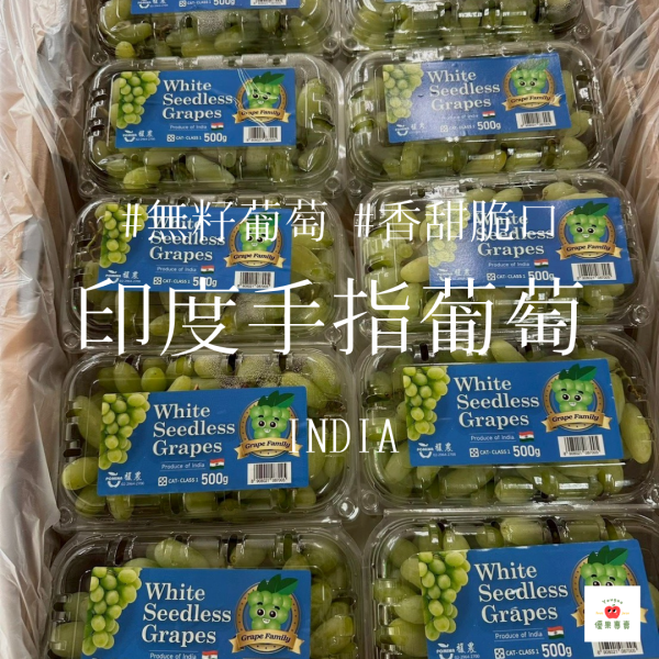 印度手指葡萄｜月亮葡萄 印度手指葡萄, 手指葡萄, 無籽葡萄, 特殊外型葡萄, 進口葡萄推薦, 爆甜葡萄, 香甜葡萄, 脆爽葡萄, 長條葡萄, 水果宅配