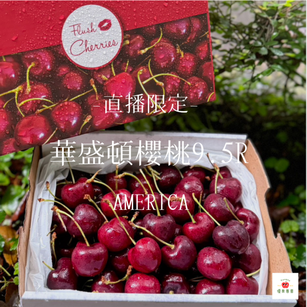 【0812直播限定】華盛頓櫻桃2.2KG /9.5R 0812直播限定, 華盛頓櫻桃, 9.5R櫻桃, 美國空運櫻桃, 特大顆櫻桃, 直播優惠水果, 大顆爆汁櫻桃, 高甜度櫻桃, 限時優惠櫻桃, 水果直播專區