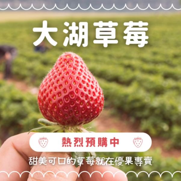 限時 大湖草莓1號果1KG 