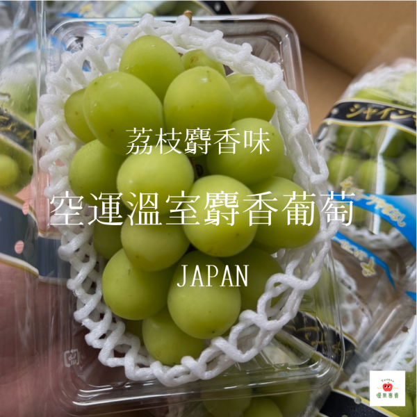 日本空運溫室麝香葡萄（PE盒裝） 日本麝香葡萄, 溫室麝香葡萄, 日本空運水果, 無籽麝香葡萄, 高甜度葡萄, 日本水果禮盒, 麝香葡萄PE盒, 精緻水果推薦, 日本葡萄宅配, 空運進口水果