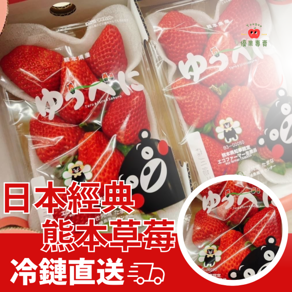 日本經典熊本草莓 