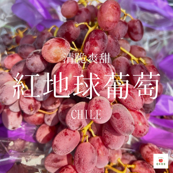 智利紅地球葡萄（有籽） 紅地球葡萄, 智利葡萄, 有籽葡萄, 大顆葡萄, 傳統葡萄品種, 酸甜葡萄推薦, 葡萄宅配, 紅皮葡萄, 葡萄大果推薦, 進口葡萄