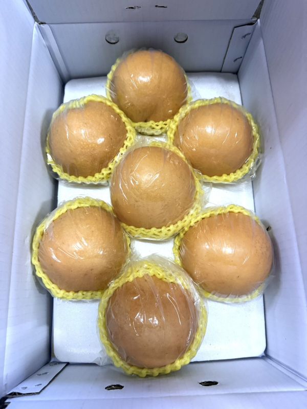 雪梨｜清甜爽脆・現在必吃 雪梨, 水梨, 清甜水果, 爽脆水梨, 秋冬水果, 潤喉水果, 多汁水果, 養生水果, 季節限定水果, 台灣水果宅配