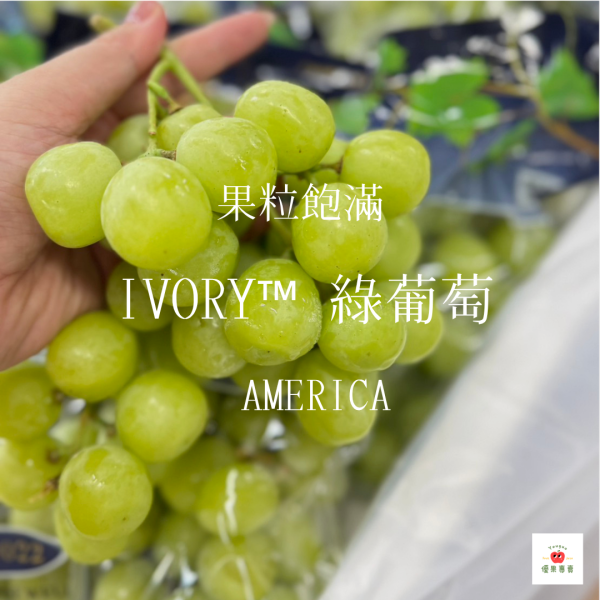空運美國 Ivory™ 綠葡萄 Ivory綠葡萄, 美國綠葡萄, 無籽綠葡萄, 酥脆葡萄, 空運葡萄推薦, 高甜度水果, 進口綠葡萄, 爽口葡萄, 水果宅配推薦, 空運美國葡萄