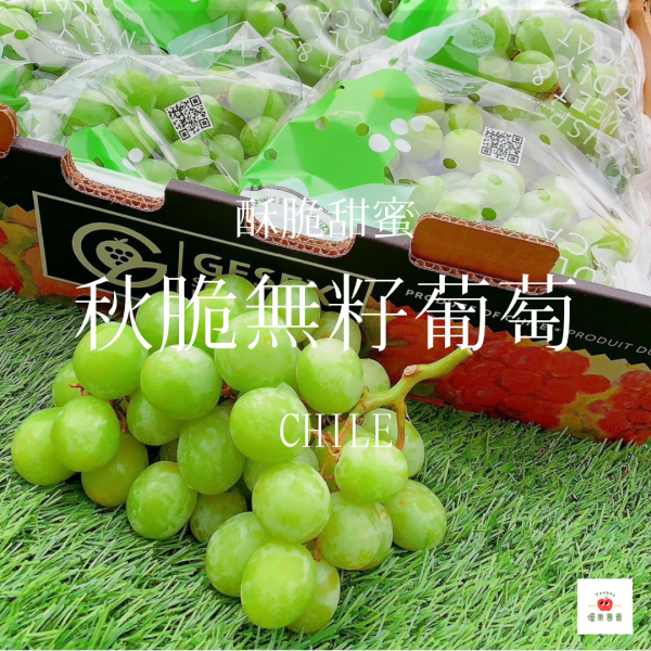 秋脆無籽葡萄 秋脆葡萄, 智利葡萄, 無籽葡萄, 酥脆葡萄, 高甜度葡萄, 甜脆葡萄推薦, 進口水果宅配, 爆甜葡萄, 葡萄控必吃, 智利秋脆無籽葡萄