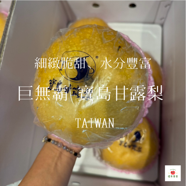 巨無霸-寶島甘露梨 巨無霸甘露梨, 寶島甘露梨, 高山甘露梨, 台灣水梨, 巨無霸水果, 爆汁水梨, 精品水果推薦, 大果水梨, 水梨宅配, 台灣水果禮盒