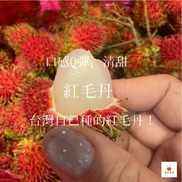 台灣水果公主 紅毛丹 紅毛丹, 水果公主, 熱帶水果推薦, 台灣紅毛丹, Q彈水果, 夏季水果, 高顏值水果, 水果禮盒推薦, 清甜微酸水果, 台灣熱帶果物