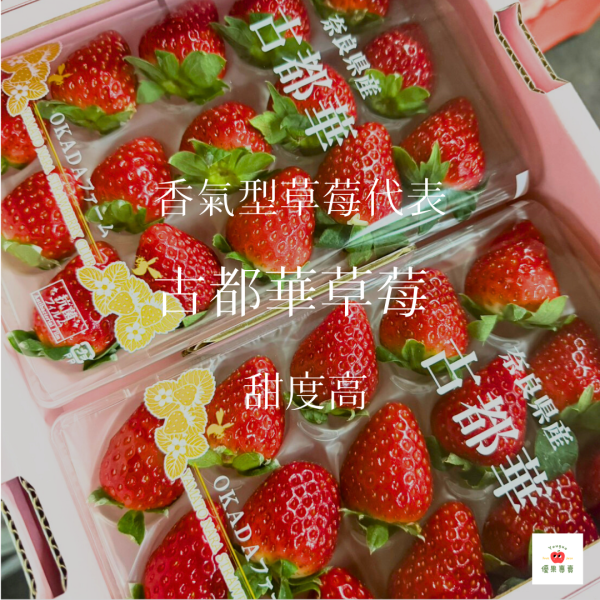 日本古都華草莓2托 