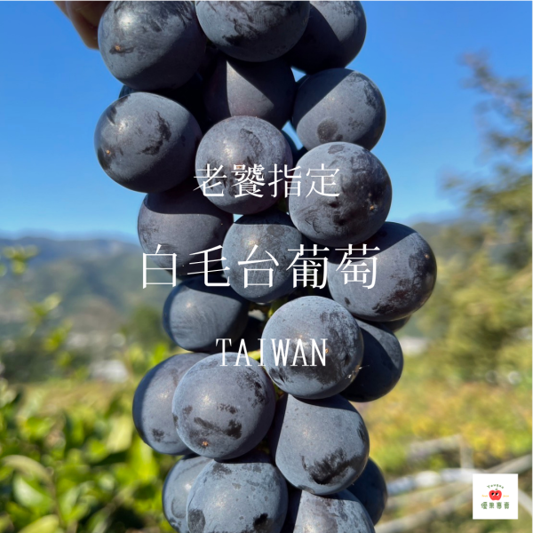 白毛台葡萄 | 4包一盒(2kg) 白毛台葡萄, 台灣葡萄, 葡萄評鑑亞軍, 精品果物, 香甜葡萄, 薄皮葡萄, 台灣在地水果, 高品質葡萄, 精品水果推薦, 台灣精品果物