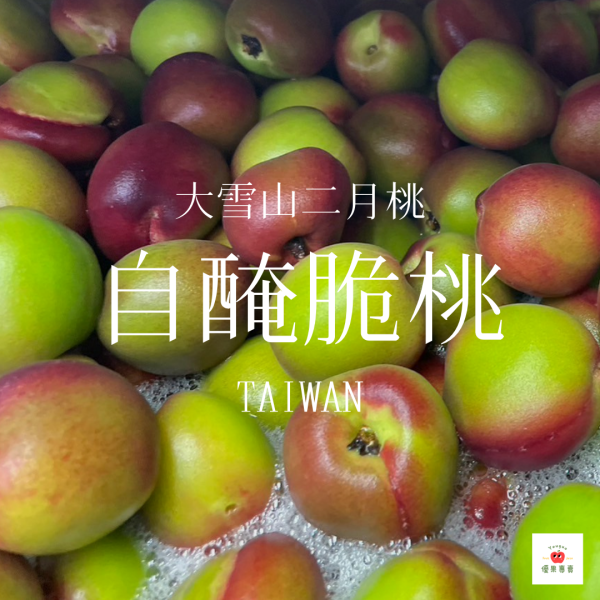 二月脆桃（醃漬）只想動口 二月脆桃, 醃漬脆桃, 酸甜脆桃, 水果罐頭, 即食水果, 大雪山脆桃, 醃製水果推薦, 醃脆桃批發