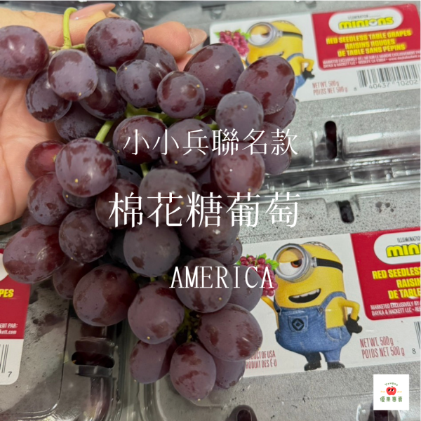 小小兵聯名款・美國空運棉花糖葡萄 棉花糖葡萄, 小小兵聯名, 美國空運葡萄, 無籽葡萄推薦, 香甜葡萄, 棉花糖風味水果, 親子水果, IP聯名水果, 小小兵棉花糖葡萄, 進口夢幻水果