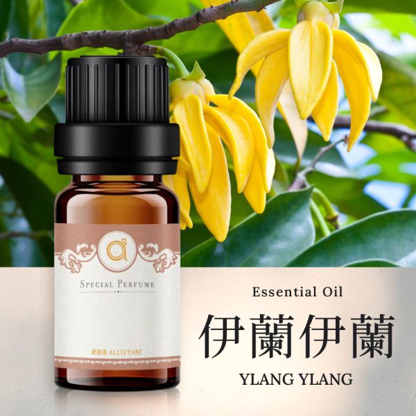 【伊蘭伊蘭-Ylang Ylang】單方精油 愛創造Allietare 精油,單方精油,伊蘭伊蘭,Ylang Ylang