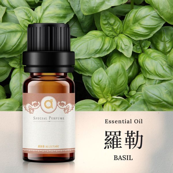 【羅勒-Basil】單方精油 愛創造Allietare 精油,單方精油,羅勒,Basil