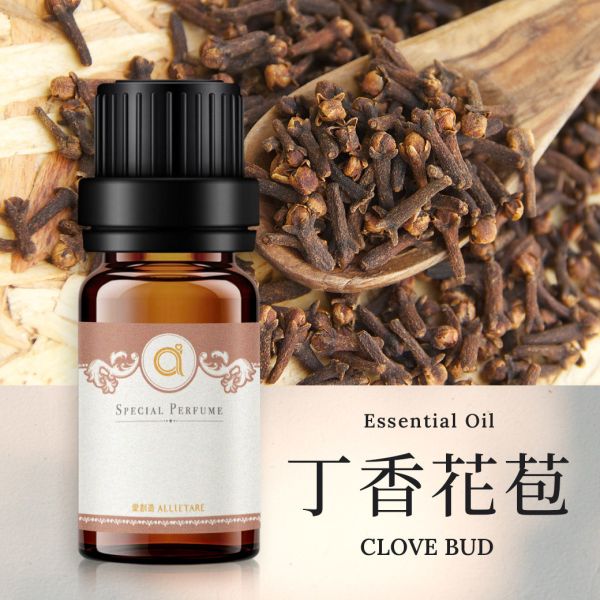 【丁香花苞-Clove Bud】單方精油 愛創造Allietare 精油,單方精油,丁香花苞,Clove Bud