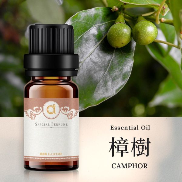 【樟樹-Camphor】單方精油 愛創造Allietare 精油,單方精油,樟樹,Camphor