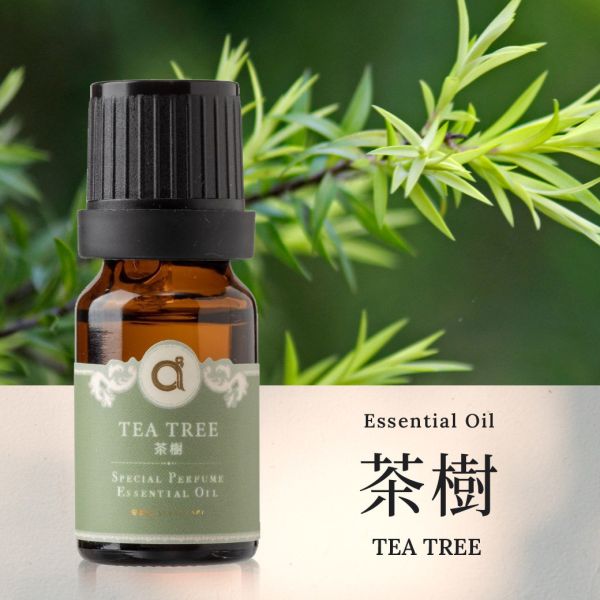 【茶樹-Tea Tree】單方精油 愛創造Allietare 精油,果香,單方精油,甜橙,Sweet Orange