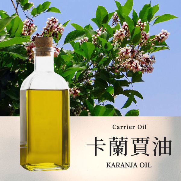 【卡蘭賈油】Karanja Oil 基底油 按摩油 愛創造Allietare 卡蘭賈油,Karanja Oil,基底油,按摩油