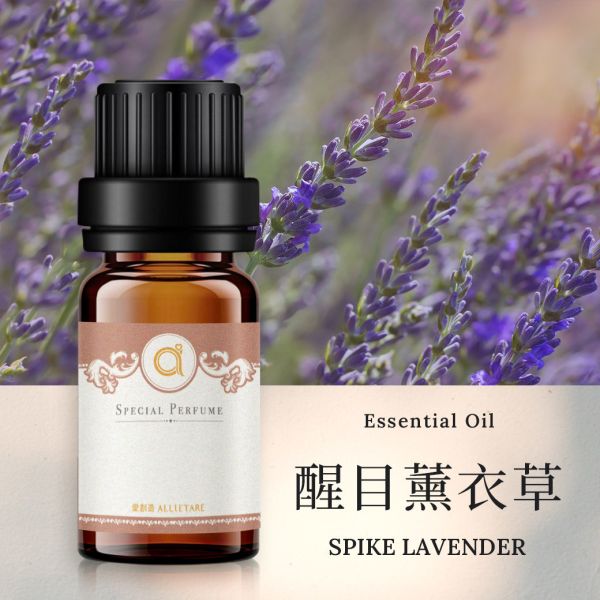【醒目薰衣草-Spike Lavender】單方精油 愛創造Allietare 精油,單方精油,醒目薰衣草,Spike Lavender