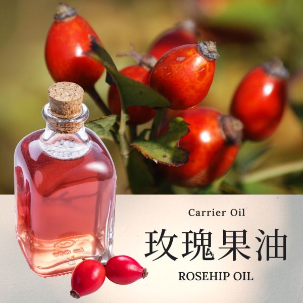 【玫瑰果油】Rosehip Oil 基底油 按摩油 愛創造Allietare 玫瑰果油,Rosehip Oil,基底油,按摩油