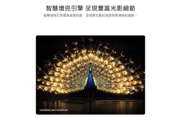 【LG 樂金】OLED55G6PTA  G6 零間隙藝廊系列 OLED evo AI 4K 智慧顯示器 LG 樂金,OLED55G6PTA,G6 零間隙藝廊系列 OLED evo AI 4K 智慧顯示器,零間隙壁掛,超廣角視野,護眼抗藍光,金亞家電