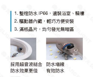 15公分尼莫防水崁燈 