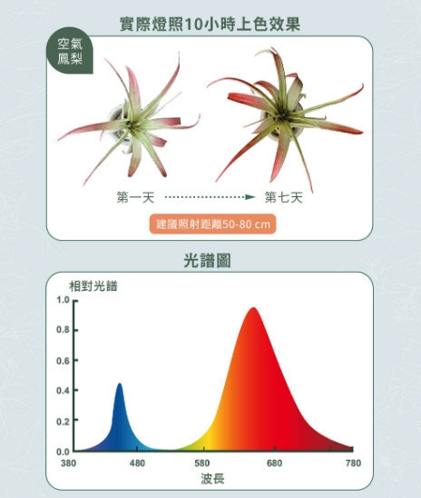 紅藍光譜植物PAR燈 
